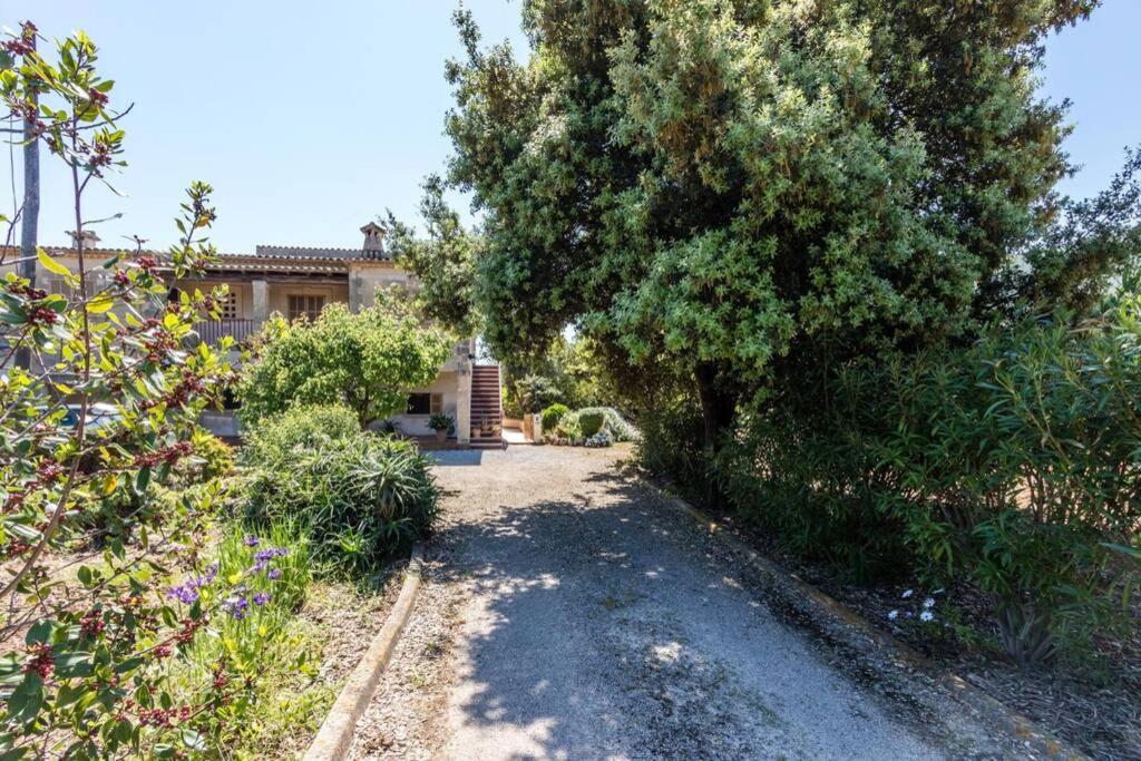 Villa Between Pollensa Old Town And Port Pollensa By Renthousing Exterior foto